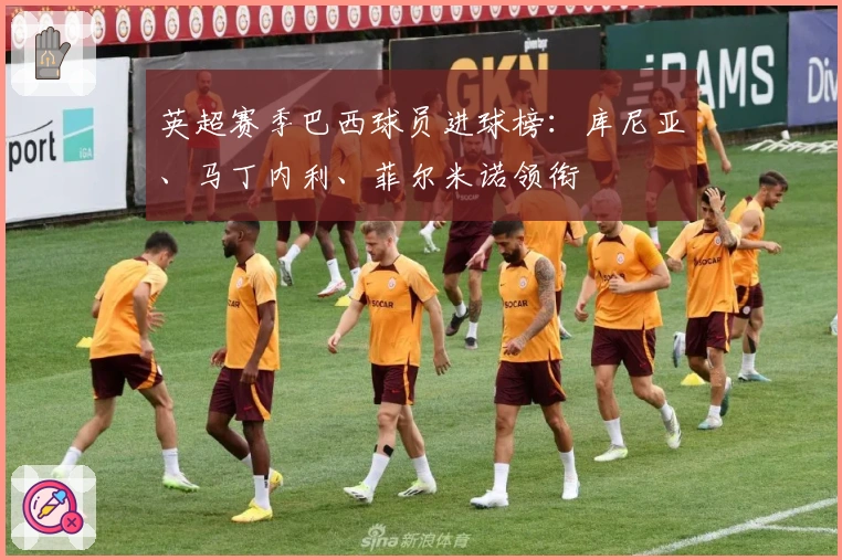 英超赛季巴西球员进球榜：库尼亚、马丁内利、菲尔米诺领衔